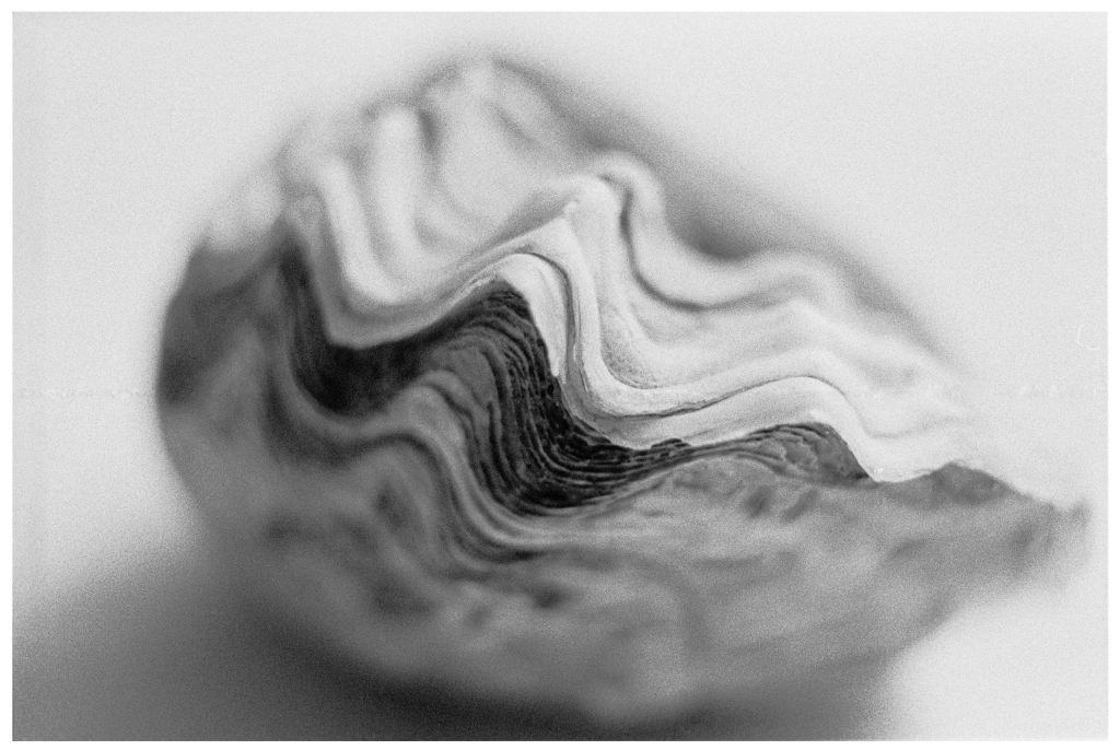 Throwback Friday #14 Foreshore&nbsp;(2007)