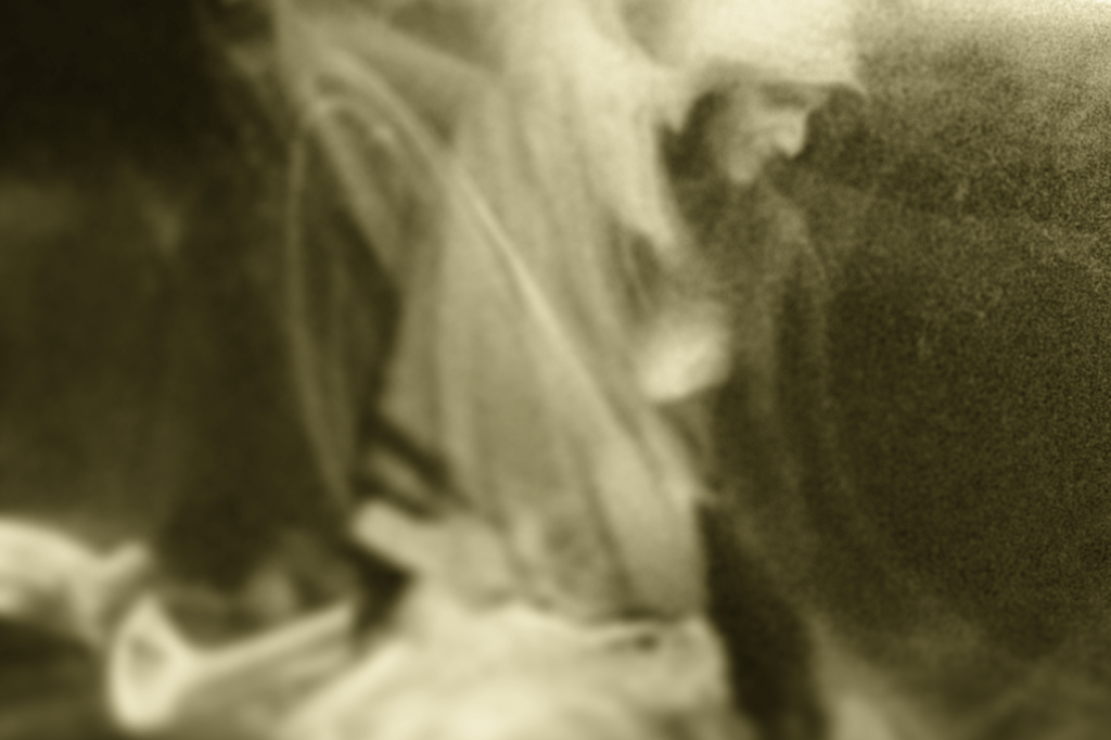 Throwback Friday #25 Phantasmagoria (2011)