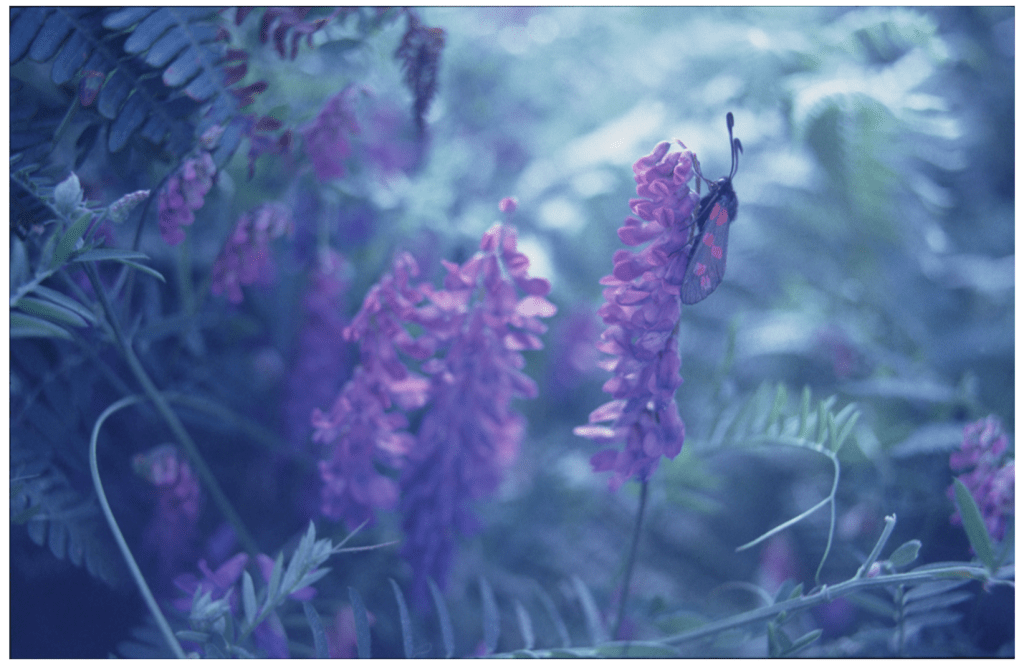 Throwback Friday #26 Six Spot&nbsp;Burnett