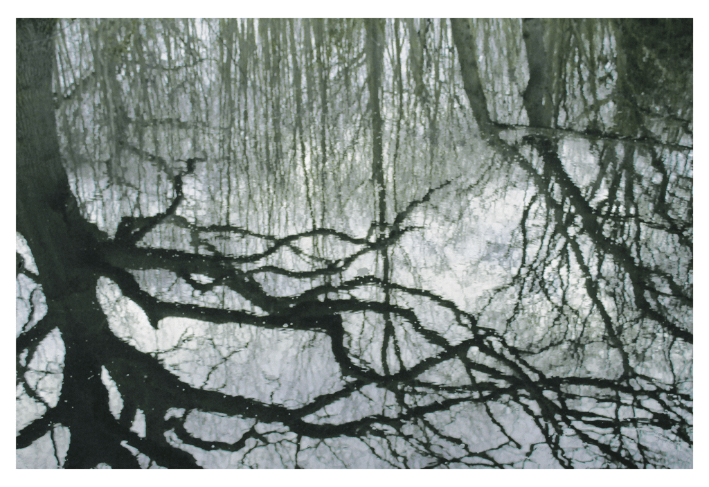 Return To The Scrying Mirror&nbsp;(2021)