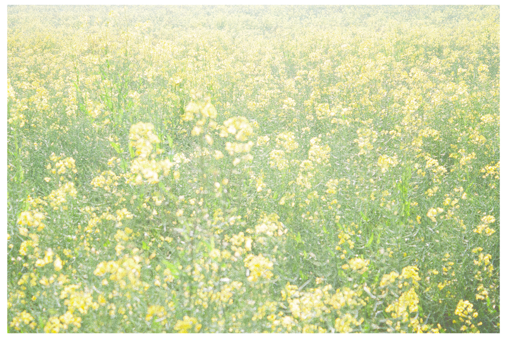 Bysing Wood #2&nbsp;(2021)