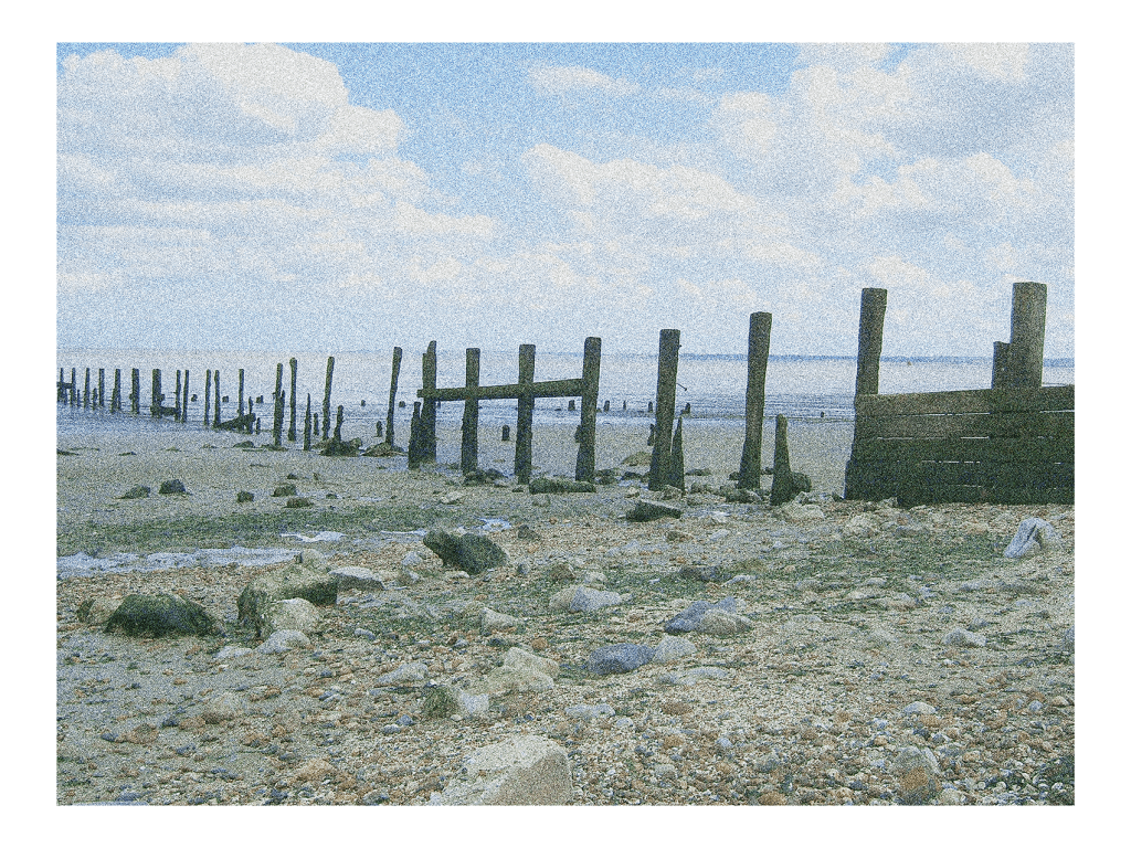 Throwback Friday #66 Shellness #1&nbsp;(2009)