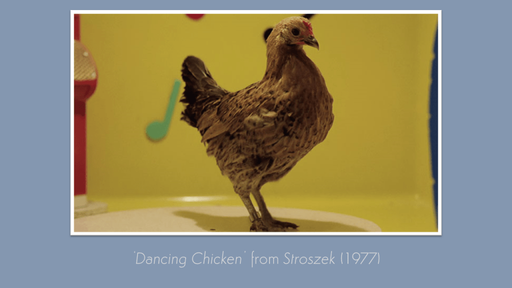 The Kick-About #33 ‘Herzog’s Dancing&nbsp;Chicken’