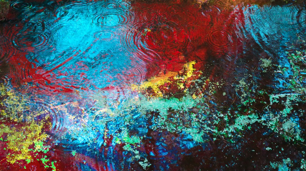 Artist-In-Residence: Graeme Daly&nbsp;#6