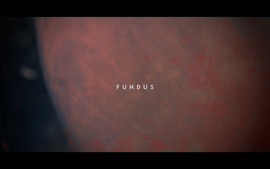 ‘Bird Eyes View’ / Fundus in Tangible Territory Journal Vol 1. Issue&nbsp;3