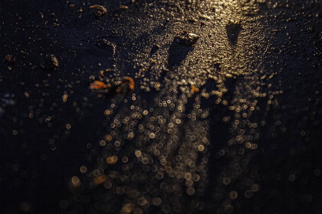 Desquamation #5 (2022)