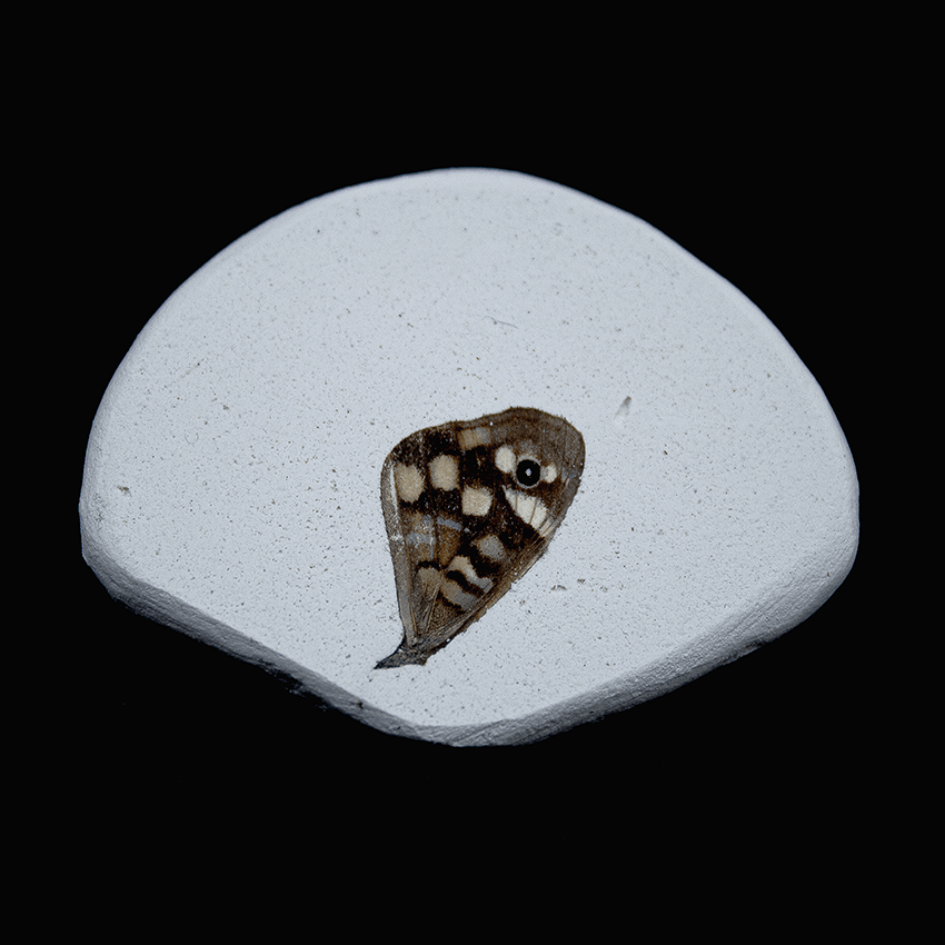 Exquisite Corpses #3&nbsp;(2022)