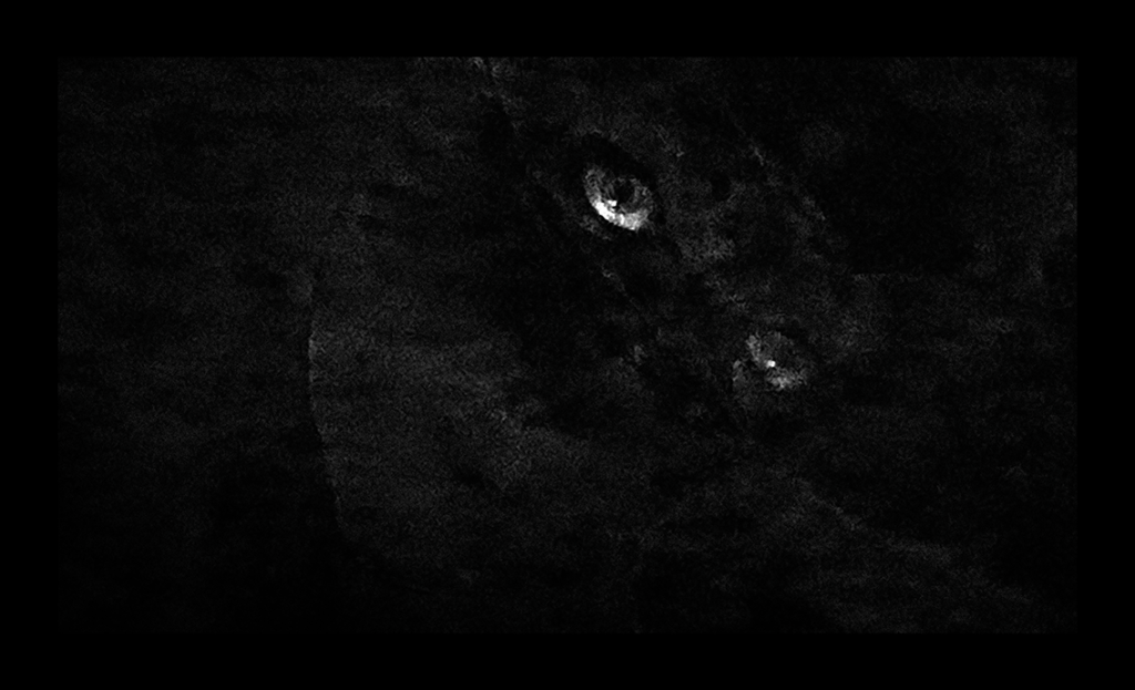 Throwback Friday #131 More Shunned Things&nbsp;(2021)