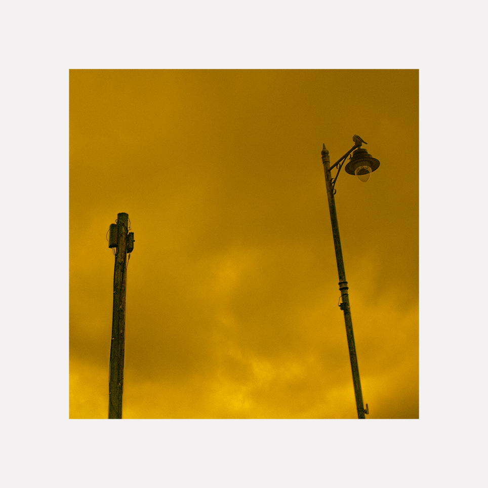 Throwback Friday #159 Street Light, Carnival Day&nbsp;(2023)