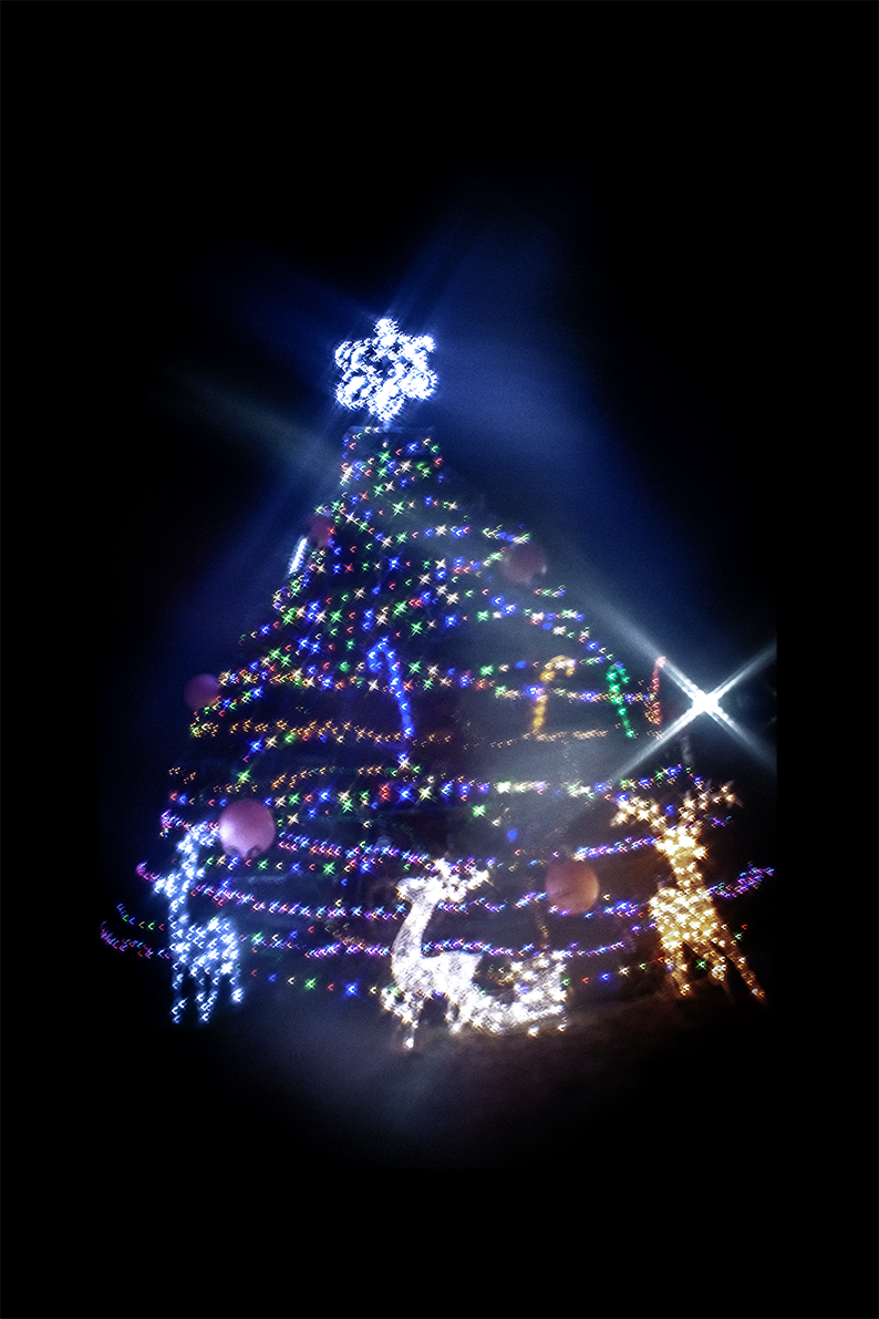 Harbour Lights, Christmas&nbsp;(2023)