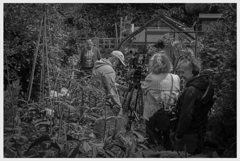 Throwback Friday #165 “We Like Leaves” (June,&nbsp;2023)