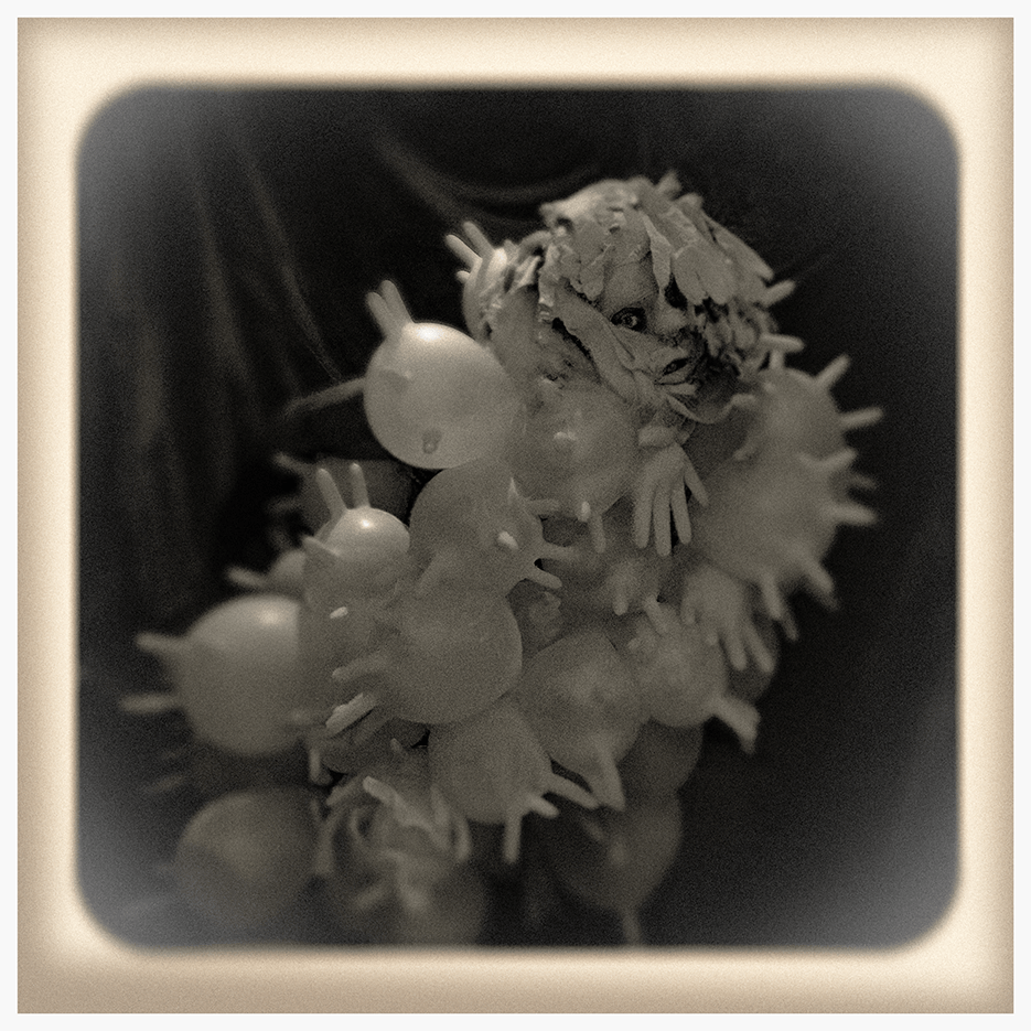 Le Mille-Pattes Humain&nbsp;(2024)