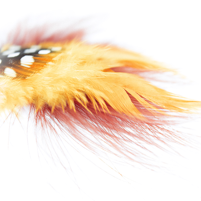 Paradisaeidae #2(2024)