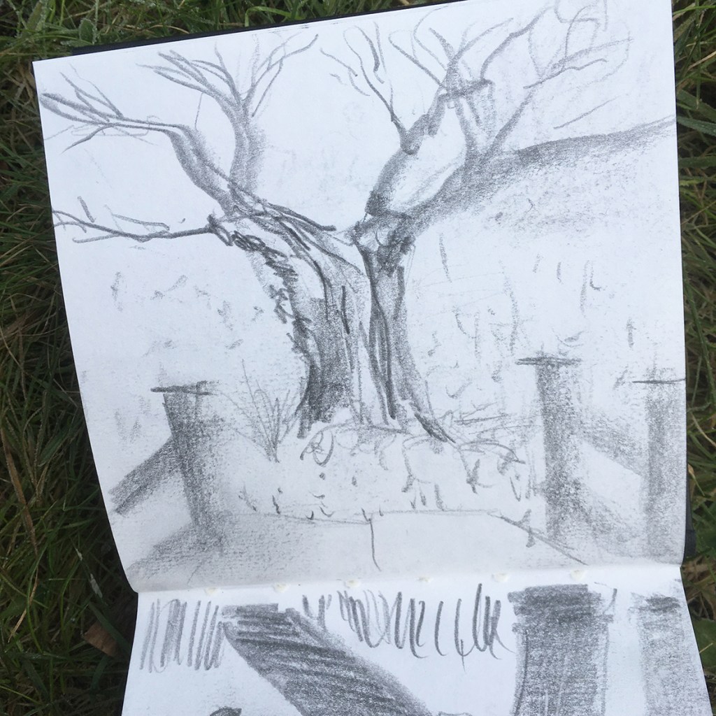 A sketch of a tree with bare branches on a notepad placed on grassy ground.