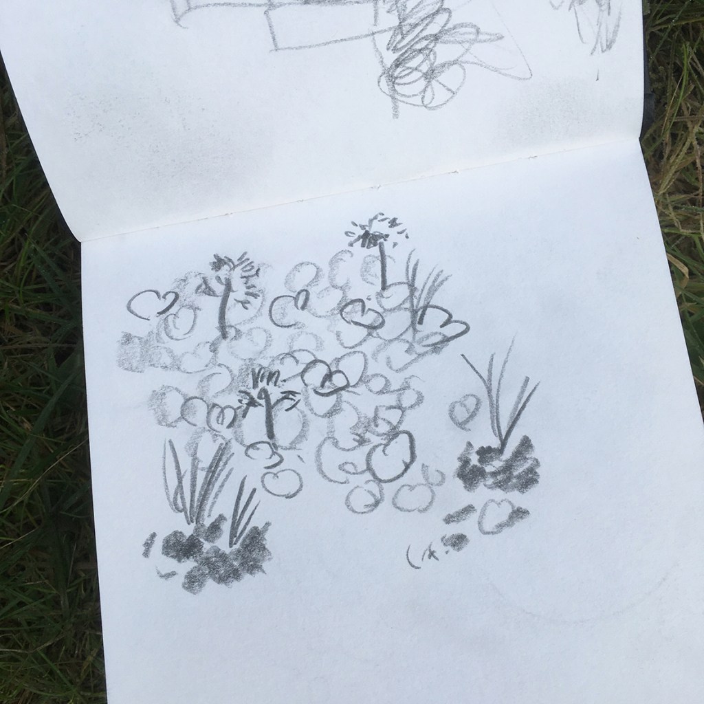 A sketchbook page featuring rough pencil drawings of plants and flowers, with loose, abstract shapes and outlines on white paper.