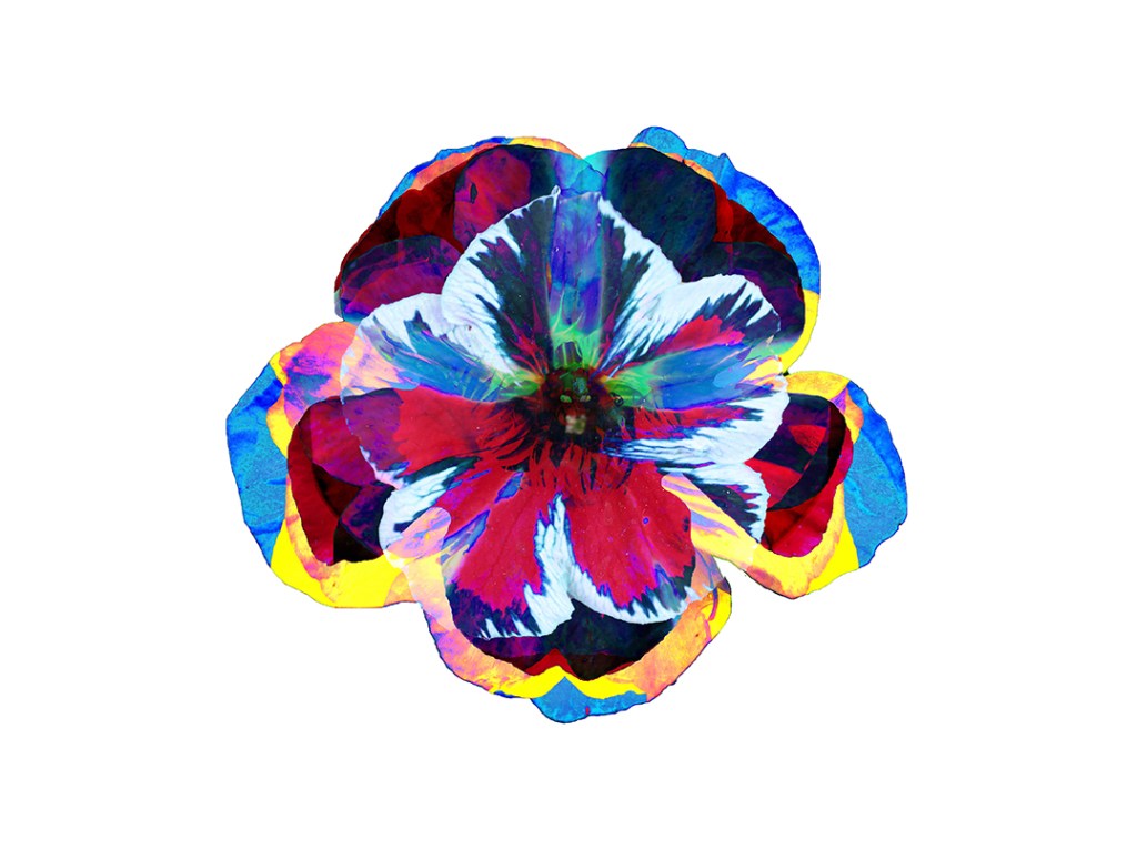 A vibrant abstract illustration of a flower, showcasing a blend of vivid colors and intricate details, resembling a Semper Augustus tulip.