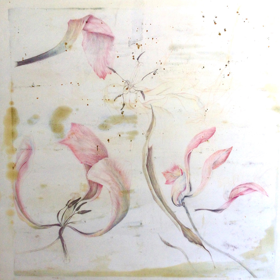 A delicate illustration of tulip flowers in soft pastel colors, featuring various stages of bloom and petals gracefully extended against a light background.