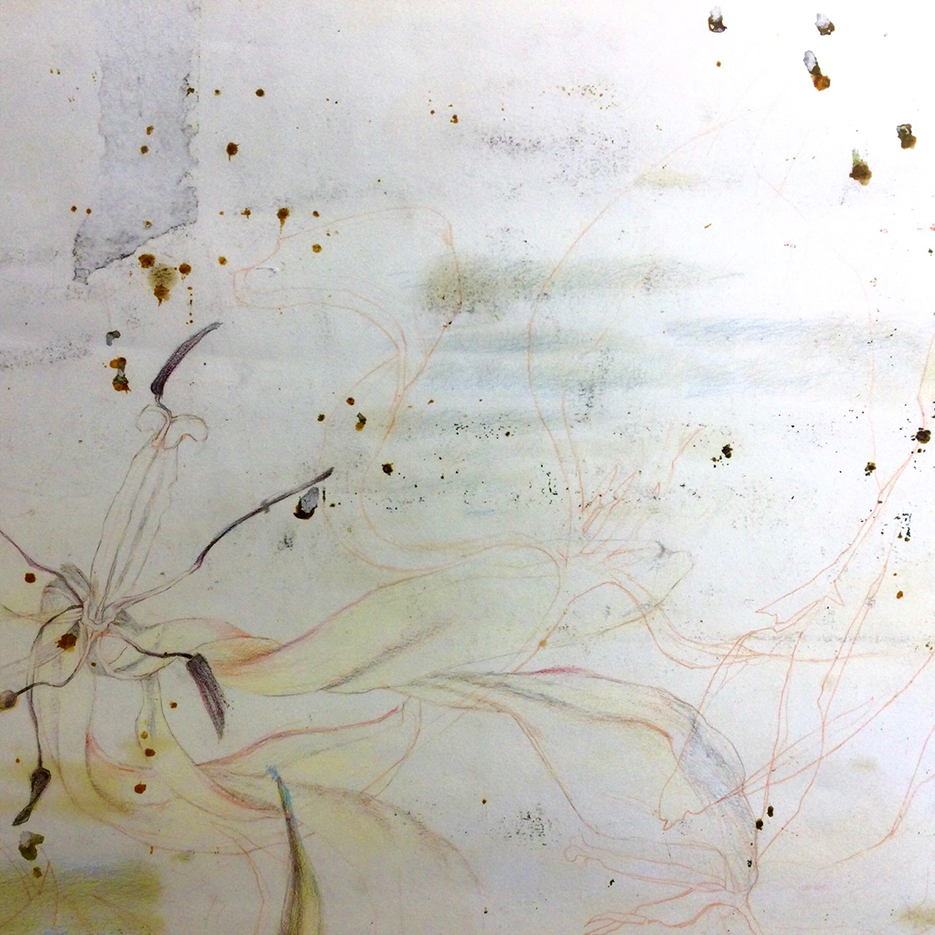 A delicate illustration of tulips drawn in soft colors and light lines, with sporadic brown stains and marks on a pale background, creating an ethereal and abstract representation of floral themes.