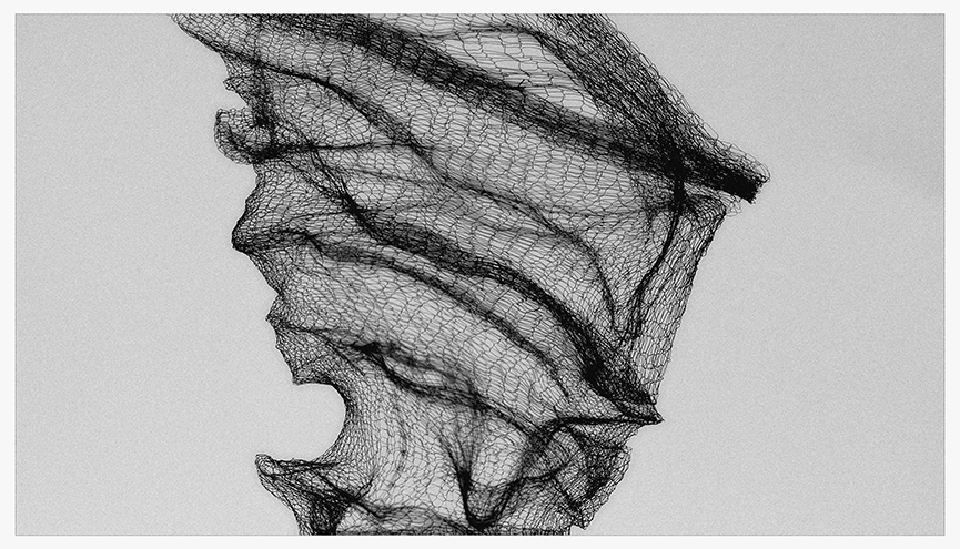 Black and white photograph of a delicate, intricately shaped mesh material, casting intricate shadows against a light background.