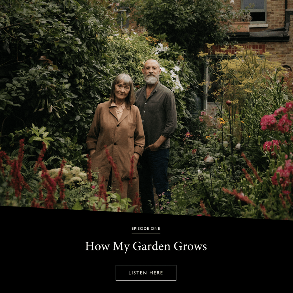 The Modern House: How My Garden&nbsp;Grows