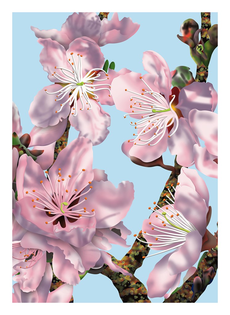 Close-up illustration of pink cherry blossoms on branches against a light blue background.